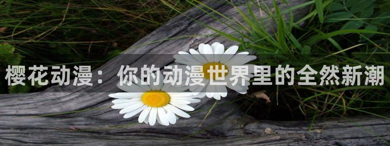 omofun纯净无广告版：樱花动漫：你的动漫世界里的全然新潮