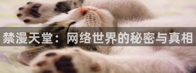 omofun入口：禁漫天堂：网络世界的秘密与真相