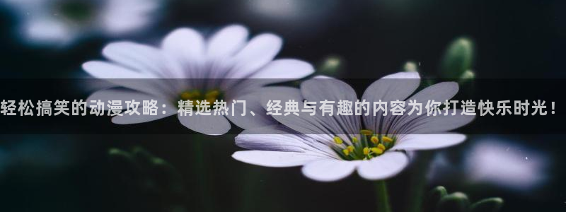 omofun网页版怎么没了