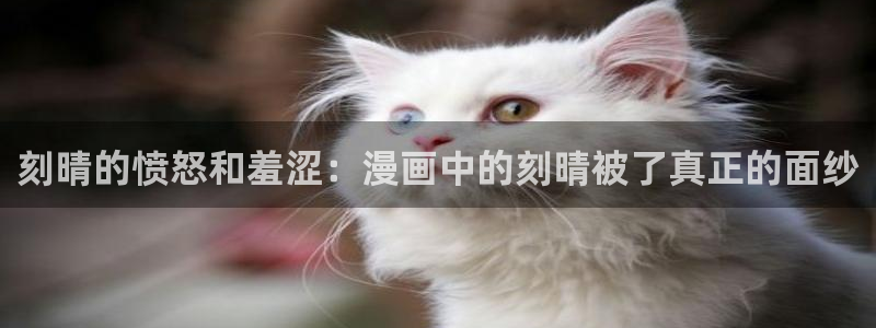 omofun是什么