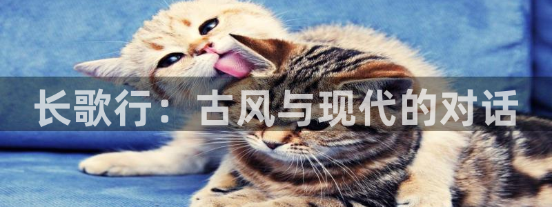 omofun下载官方正版网站