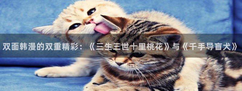 动漫共和国omofun下载