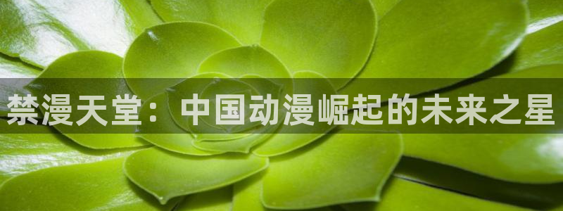 omofun最新纯净版
