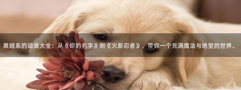 omofun免签