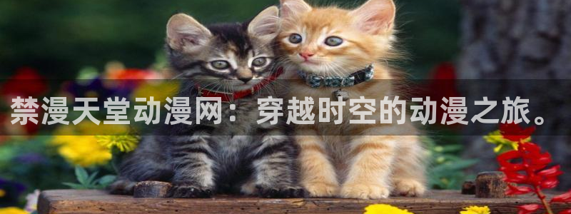omofun动漫