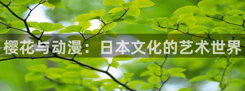 omofun传送门入口