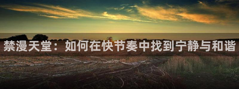 omofun:：禁漫天堂：如何在快节奏中找到宁静与和谐