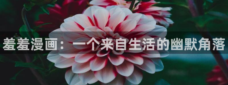 omofuns：羞羞漫画：一个来自生活的幽默角落