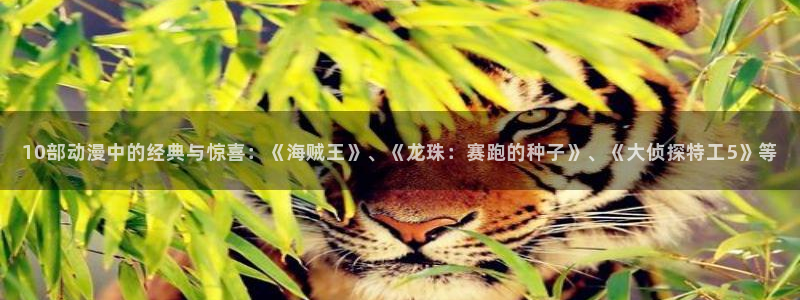1 omofun：10部动漫中的经典与惊喜：《海贼王》、《龙珠：赛跑的种子》、《大侦探特工5》等
