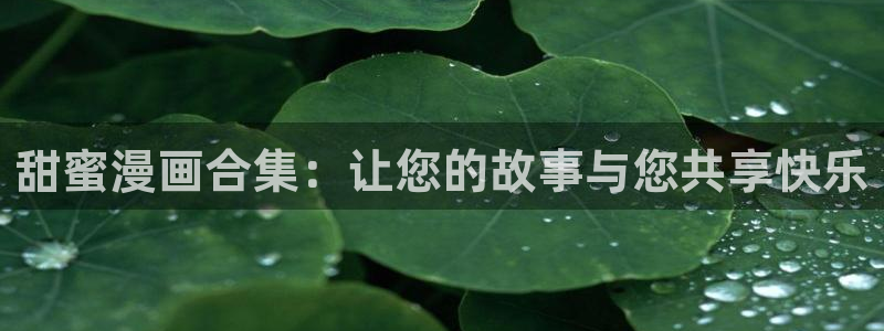 omofun网页版官网