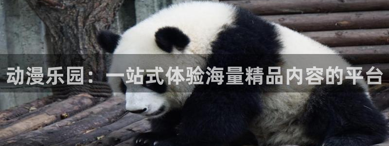 www.omofun.com：动漫乐园：一站式体验海量精品内容的平台